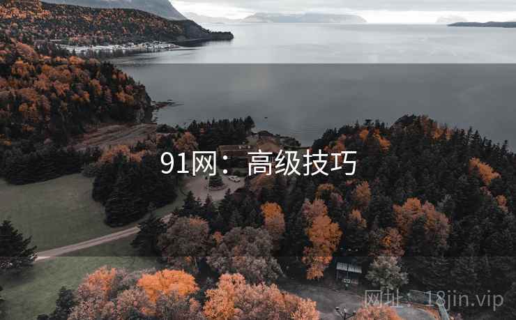91网:高级技巧