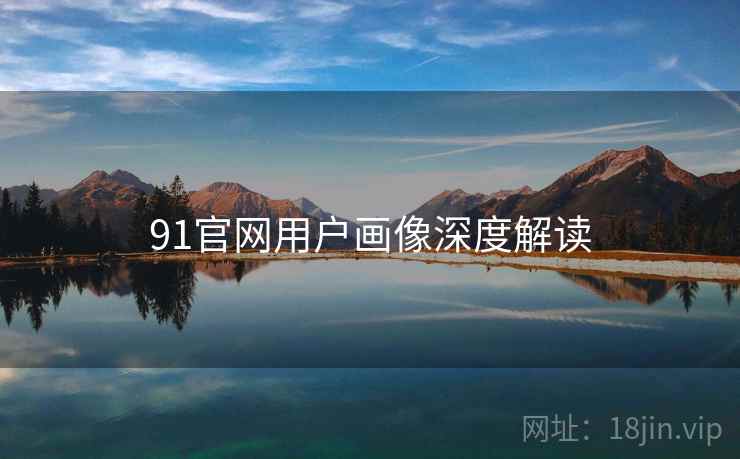 91官网用户画像深度解读