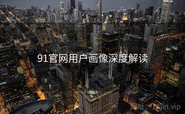 91官网用户画像深度解读