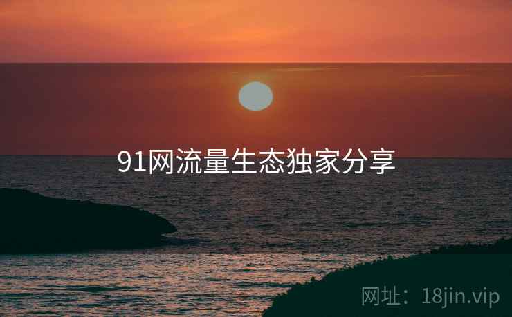 91网流量生态独家分享