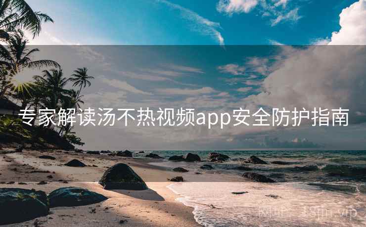 专家解读汤不热视频app安全防护指南