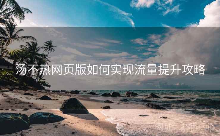汤不热网页版如何实现流量提升攻略