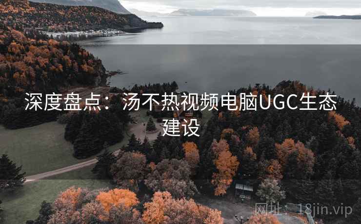 深度盘点:汤不热视频电脑UGC生态建设