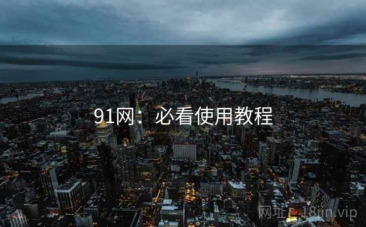 91网:必看使用教程